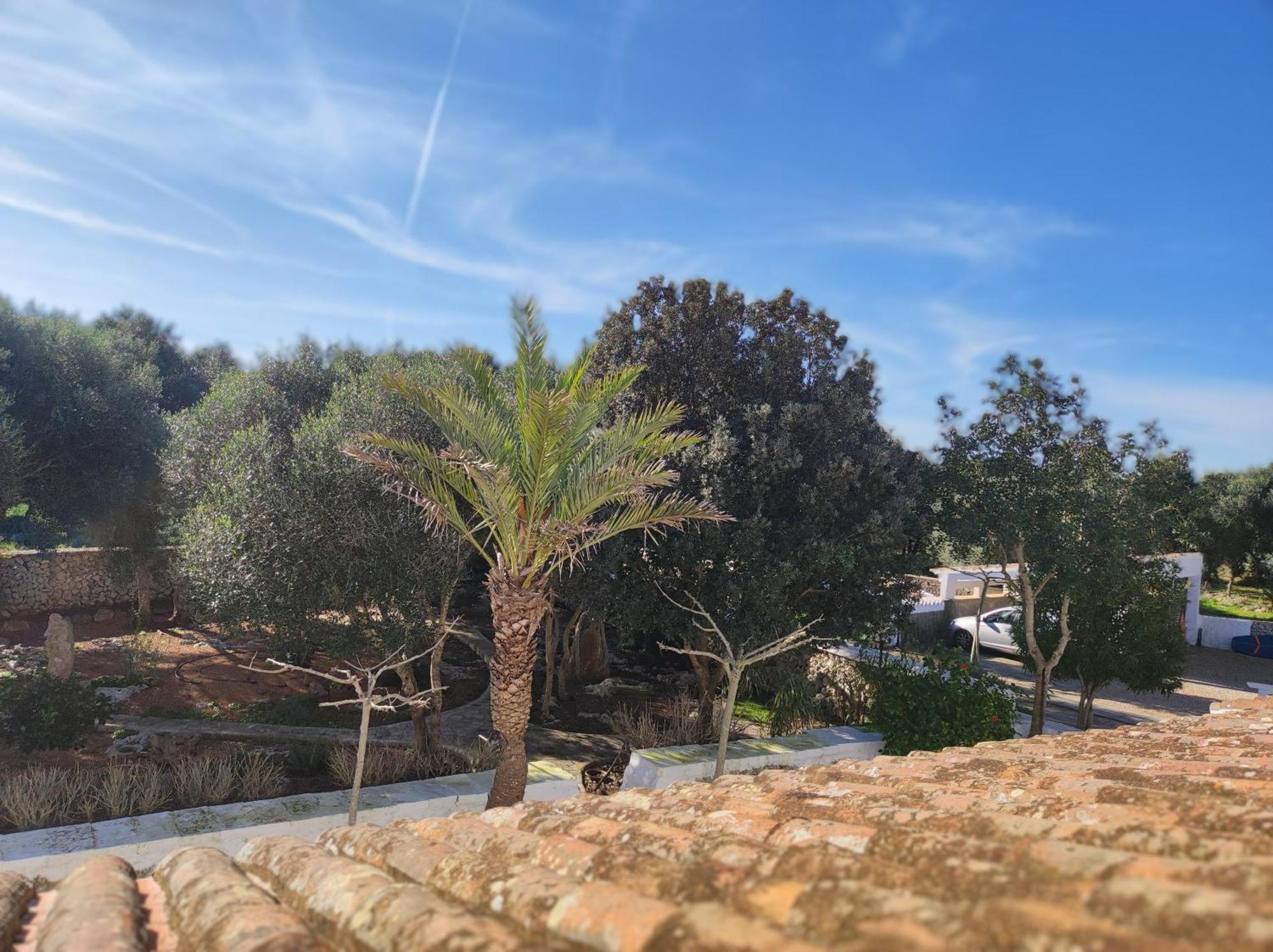 Turismo Rural Biniati Des Pi Sant Lluis Exterior foto
